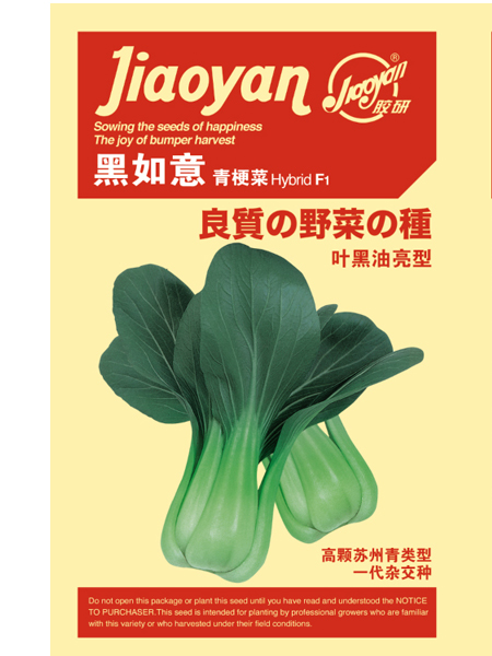 黑如意——油菜